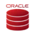 Oracle DB Built by: NotifyVisitors   