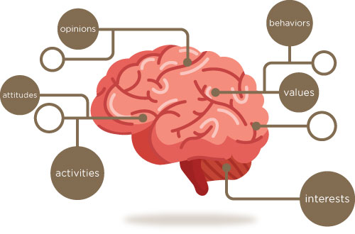 Psychographic-Segment