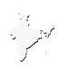 india country icon