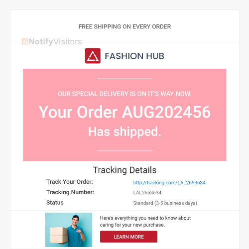 Email delivery notifications