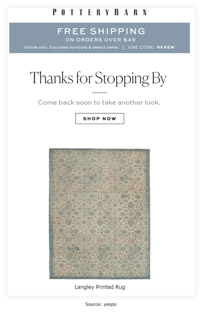 Subject line: Langley Printed Rug – Thanks for Taking a Look!