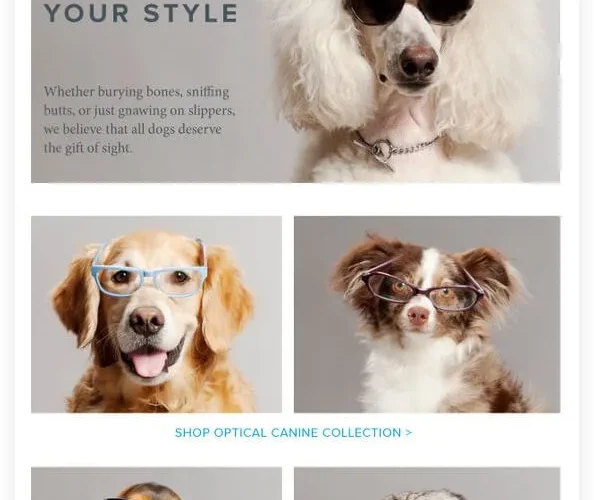 Warby-Parker