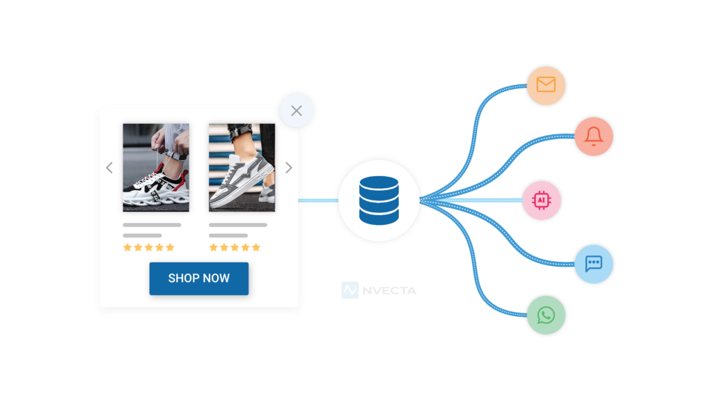 What Is a Customer Data Platform and Why E-commerce Brands Use CDPs