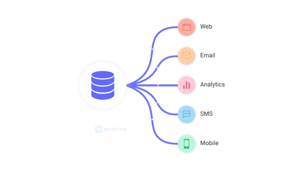 What is a Customer Data Platform?
